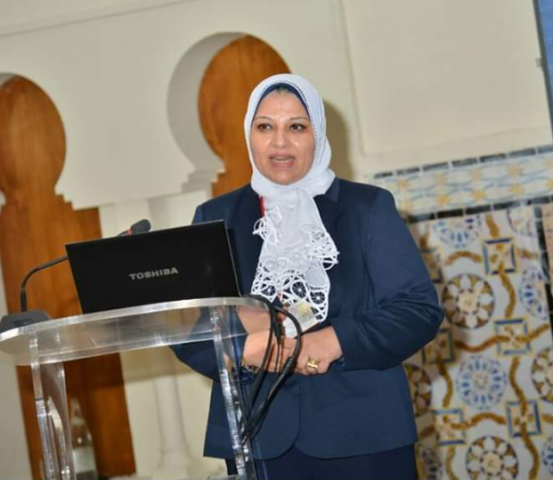 رئيس مجلس إدارة الشركة المصرية لنقل الكهرباء