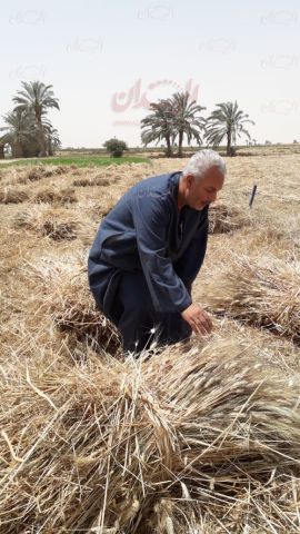 أرشيفية معبرة