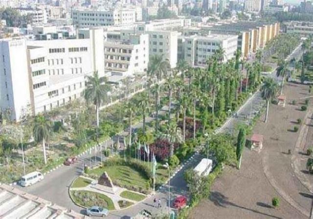 جامعة المنصورة