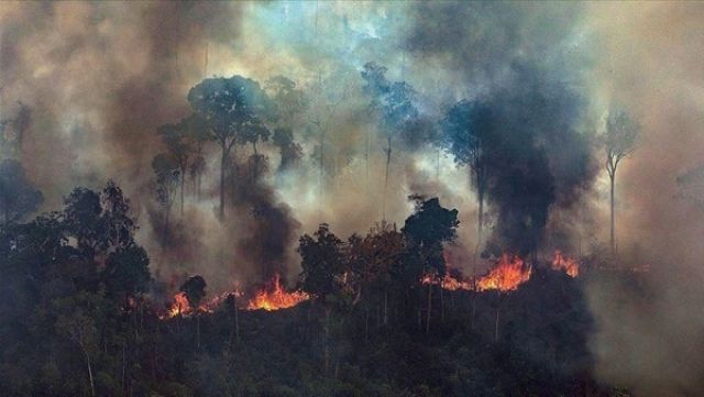 حرائق غابات الامازون