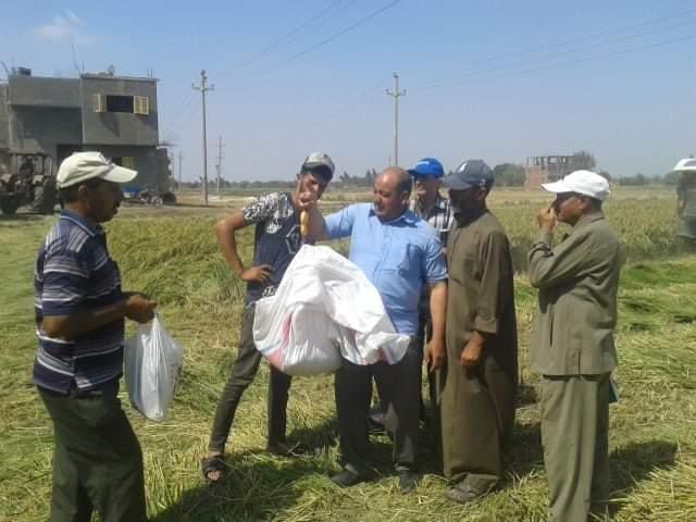 تنفيذ يوم حصادى لحقل إرشادى بالشرقية