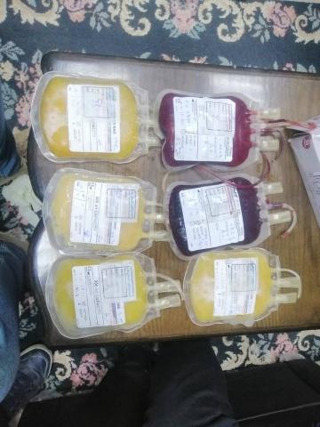 أكياس دم وبلازما فاسدة بإحدى المستشفيات الخاصة بالشرقية 