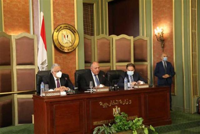 شكري يؤكد التزام الدولة المصرية بحماية وتعزيز حقوق الإنسان