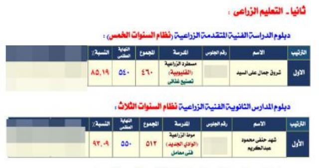 أوائل الدبلومات الفنية