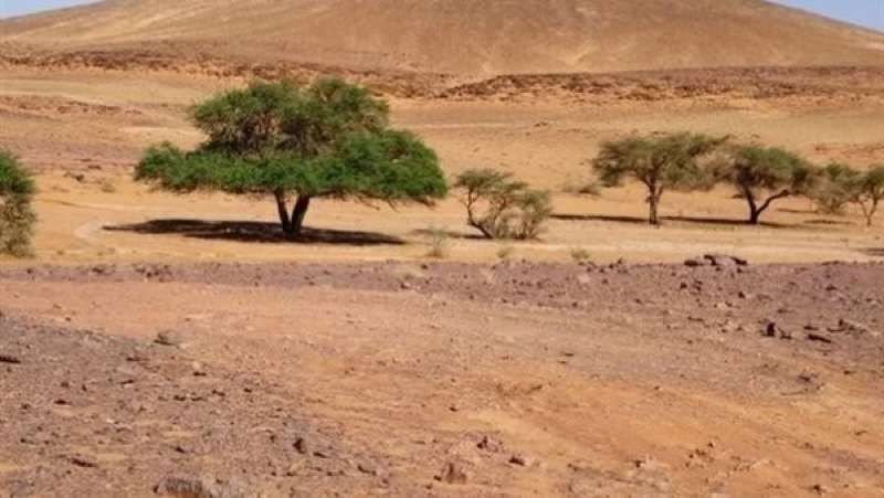 منطقة الفرافرة بالوادي الجديد