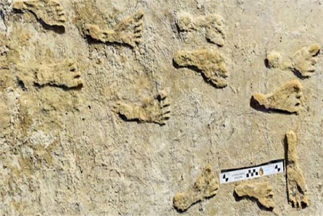 أقدم آثار أقدام بشرية معروفة