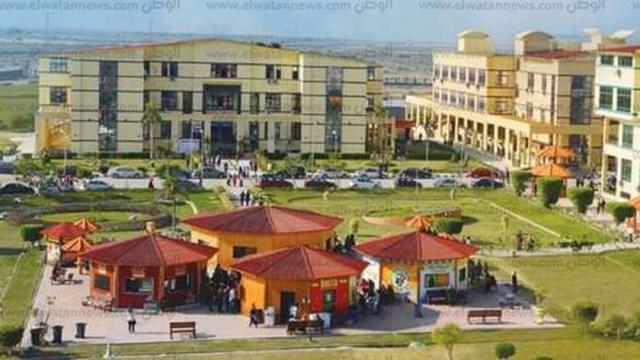 جامعة الدلتا