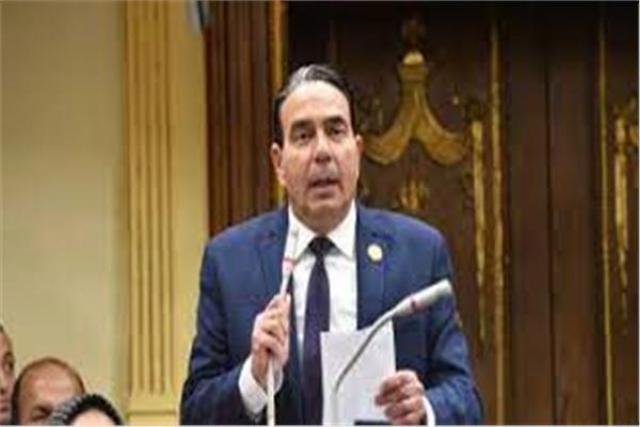 الدكتور أيمن أبو العلا وكيل لجنة حقوق الإنسان بمجلس النواب