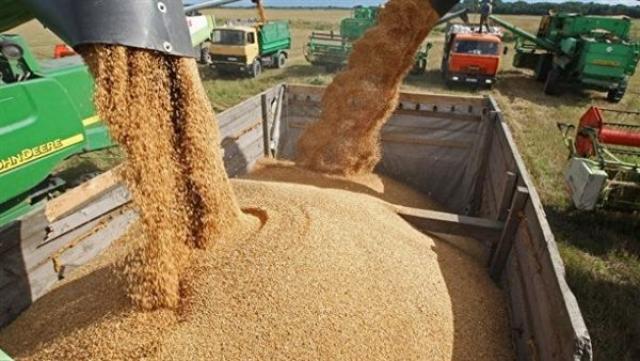 تصدير القمح