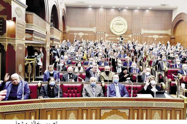 جلسة سابقة لمجلس الشيوخ تصوير - خالد مشعل