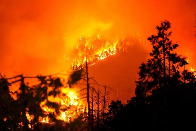 اندلاع حرائق الغابات من جديد في ولاية كاليفورنيا الأمريكية - صورة أرشيفية