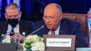 سامح شكري: سد النهضة قضية وجودية تتعلق بأمن مصر.. ولا اتفاق حتى الآن