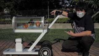 شاب تايواني يخترع عربة متحركة خاصة بأسماكه الذهبية