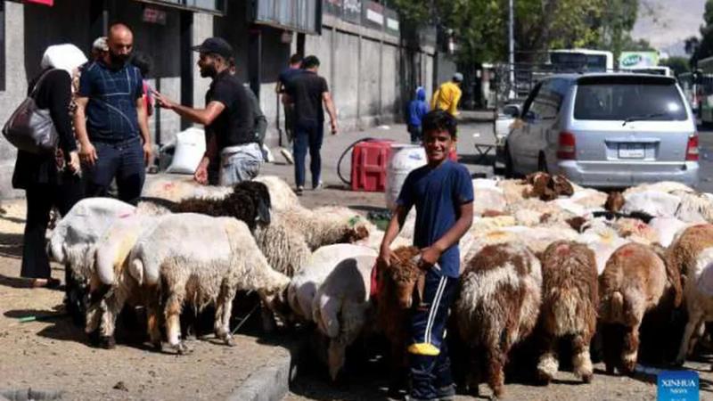 الأضحية من طقوس عيد الأضحى- صورة تعبيرية