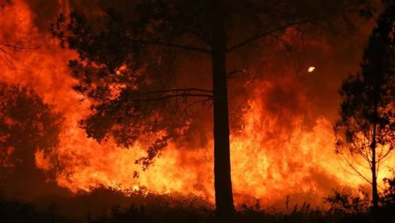 حرائق الغابات بتركيا