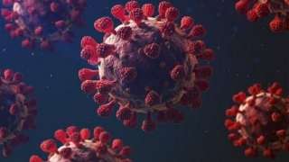 الحداد: الالتهاب الرئوي من مضاعفات الأنفلونزا وقد تؤدى للوفاة وفق الإحصائيات العالمية