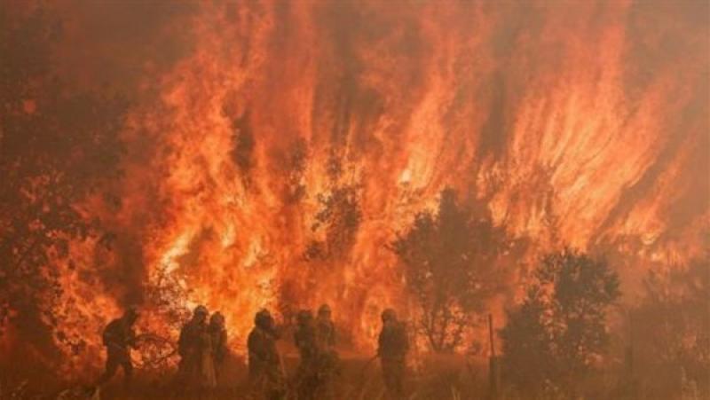 حرائق الغابات في إسبانيا