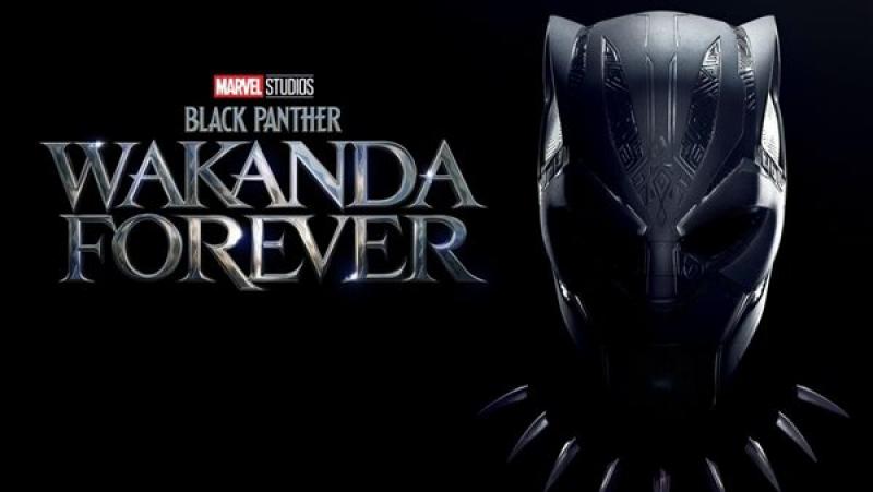  فيلم Black Panther