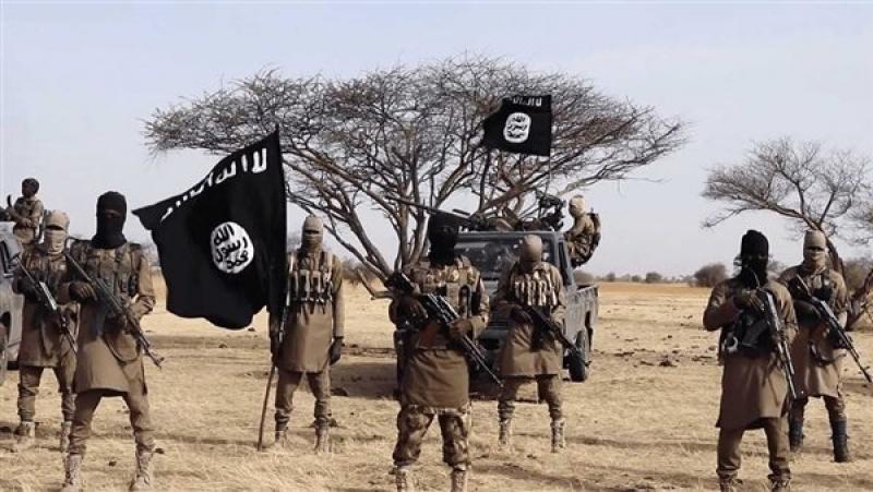 تنظيم داعش الإرهابي،فيتو
