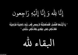 الكاتب الصحفي محمد باسم يعزي المحاسب محمد علي يوسف ومحمد إبراهيم شلبي