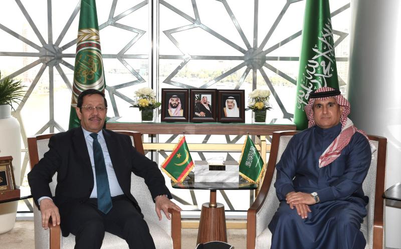مندوب السعودية بالجامعة العربية مع السفير الموريتاني 