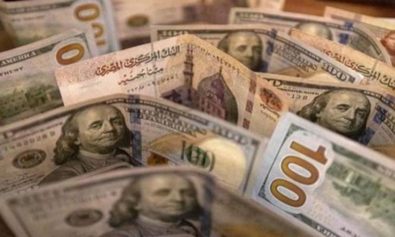 سعر الدولار