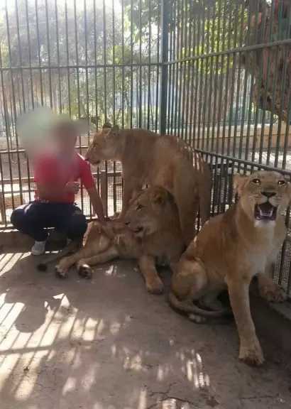 ننشر أسرار حدائق الإسكندرية بالتفاصيل  : الشمس تهدر ملايين الجنيهات بحدائق النزهة بالإسكندرية