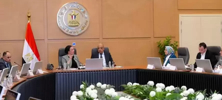 الكهرباء والبيئة تبحثان تعزيز التعاون لدعم الطاقة المتجددة وحماية الطيور المهاجرة