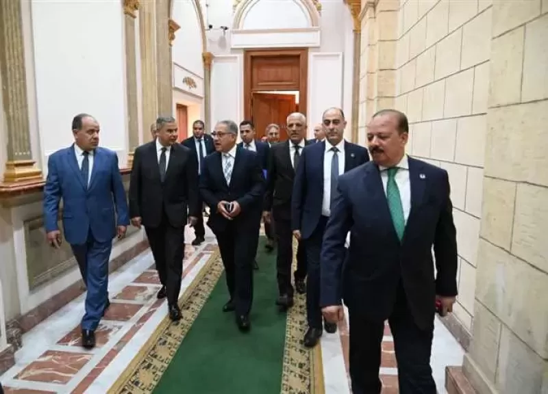 رصف طريق مدخل ابيس