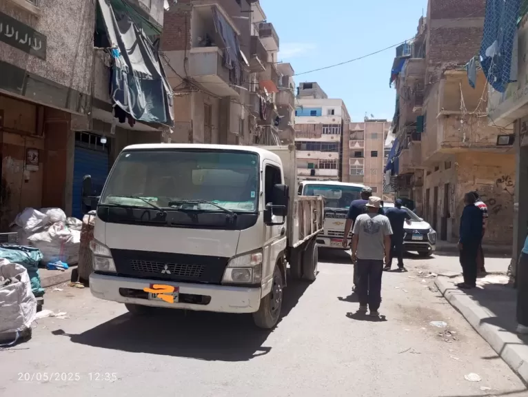 مطاردة النباشين بالإسكندرية