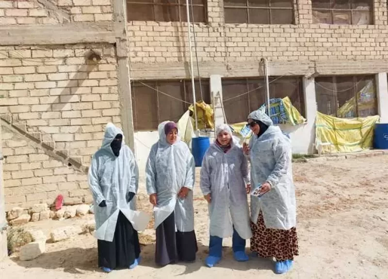 بيطري الإسكندرية