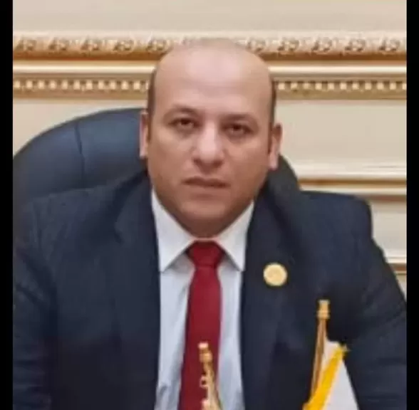 النائب هاني مرجان