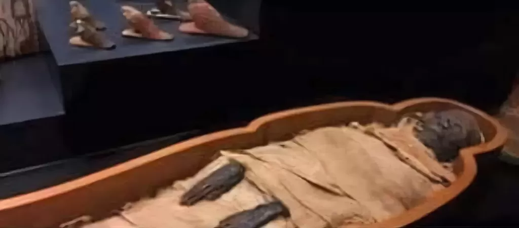 متحف المومياوات