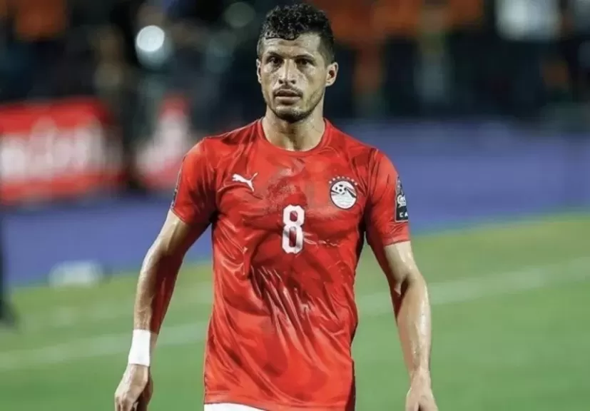 طارق حامد
