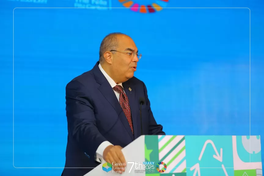 الدكتور محمود محيي الدين