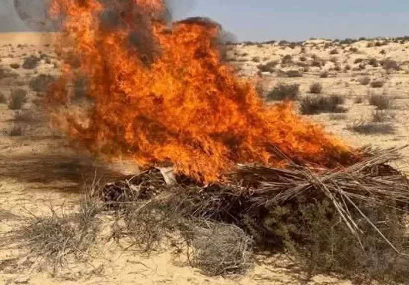 الأمن يوجه ضربة قوية للإتجار بالمخدرات في الإسماعيلية