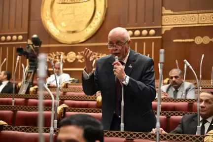 الجندي: إعلان المجاعة في غزة إنذار خطير يكشف ازدواجية المعايير الدولية