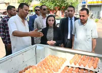 الإصلاح الزراعي يطلق قوافل لبيع البيض بأسعار مخفضة بتوجيهات وزير الزراعة ومحافظ البحيرة
