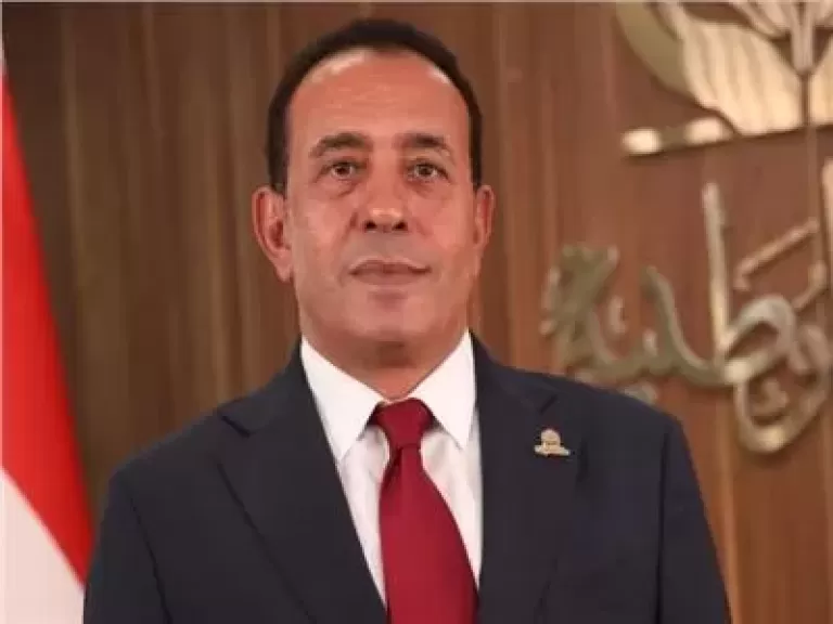 النائب محمد شعيب عضو مجلس الشيوخ