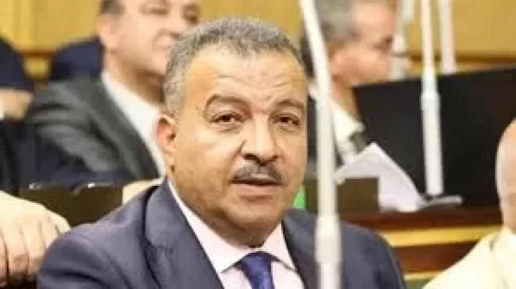 النائب الدكتور محمد العماري، وكيل لجنة الصحة بمجلس النواب