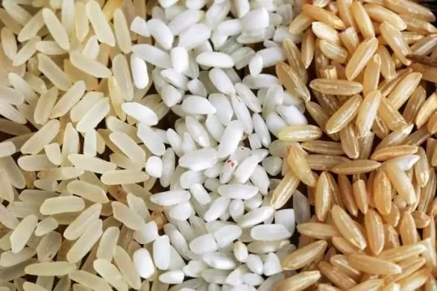الأرز