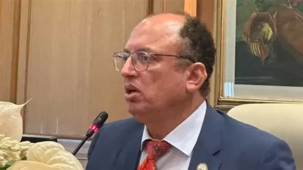 الدكتور السيد قنديل - رئيس جامعة حلوان