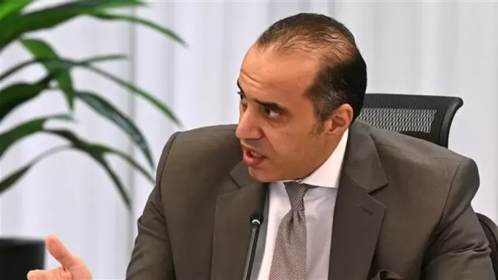 المستشار محمود فوزي