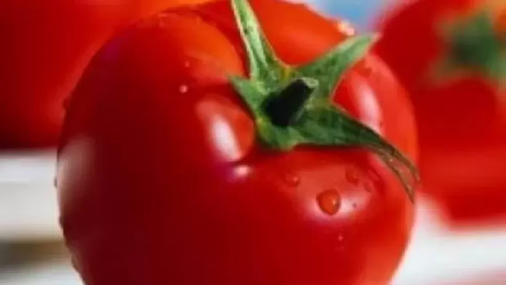 حقيقة خطورة وضع مادة الايثيلين على الطماطم وتأثيرها على الإنسان