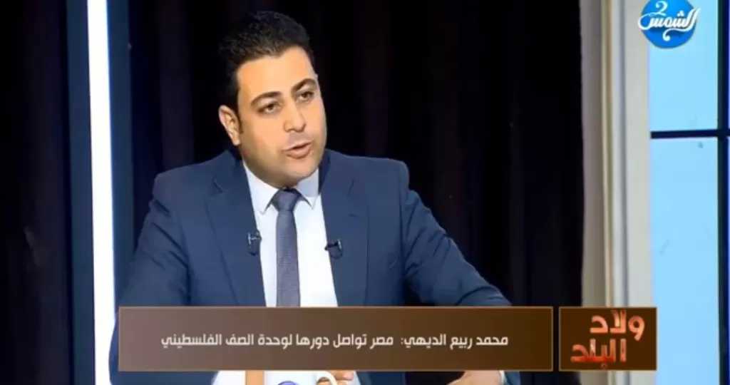 خبير علاقات دولية: مصر تُحقق انتصارًا دبلوماسيًا جديدًا في أكتوبر يوازي نصر 1973