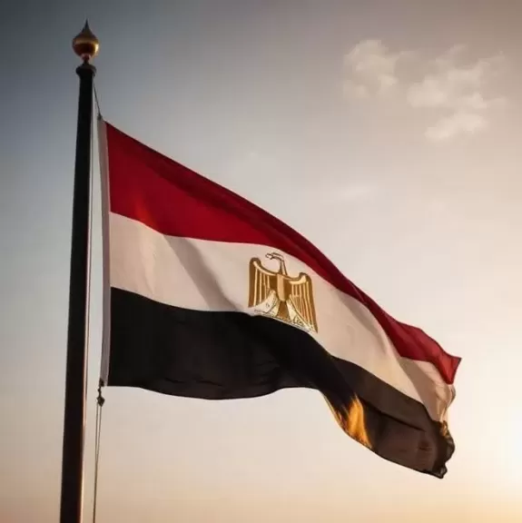 أرشيفية 