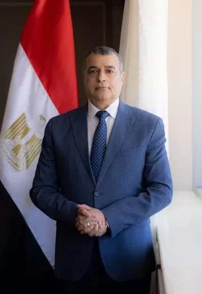 المهندس محمد صلاح الدين 