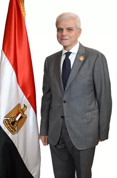 السفير حاتم سيف النصر عضو مجلس الشيوخ
