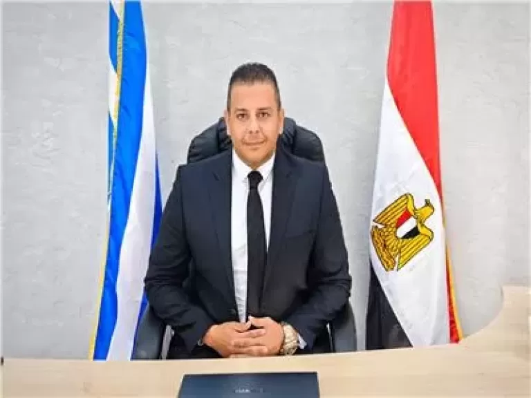 رضا عكاشة، مساعد أمين عام المصريين بالخارج بحزب "مصر المستقبل"