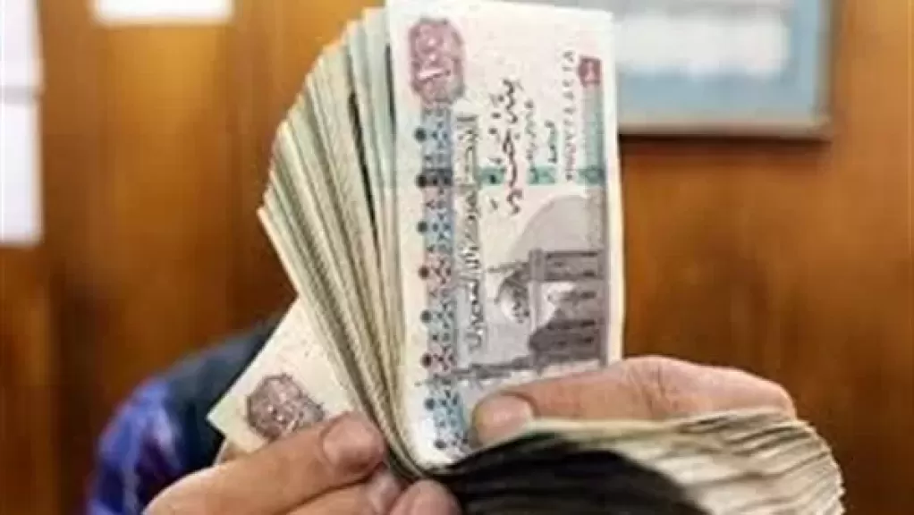 معاشات نوفمبر 2025